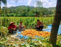 Polri Dorong Program Ketahanan Pangan di Desa Eyat Mayang, Lombok Barat