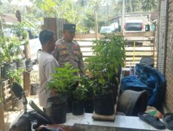 Polri Ajak Warga Desa Taman Baru Manfaatkan Pekarangan untuk Ketahanan Pangan