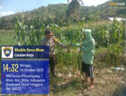 Dukung Ketahanan Pangan: BKTM Rhee Dampingi Petani di Lahan Persawahan