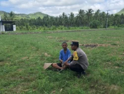 Polisi Desa Jadi Penggerak Ekonomi Warga Lewat Program Tanam Jagung