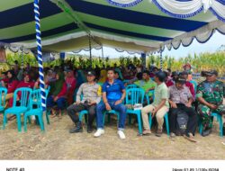 BHABINKAMTIBMAS DESA MBUJU POLSEK KILO POLRES DOMPU HADIRI ACARA PANEN RAYA JAGUNG DAN PERKENALAN PRODUK BIBIT BARU DARI PT ADVANTA