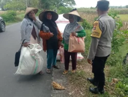 Bhabinkamtibmas Gerung Kawal Panen 3,6 Ton Jagung Warga