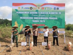 Polres Loteng Tanam Jagung Kuartal IV, Dukung Swasembada Pangan Nasional. ‎