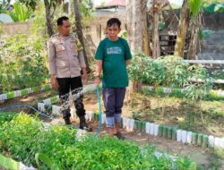 Polsek Lembar Cek Lahan Warga, Dukung Ketahanan Pangan