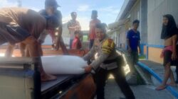 Bhabinkamtibmas Terong Tawah Kawal Distribusi Jagung dan Sosialisasi Ketahanan Pangan