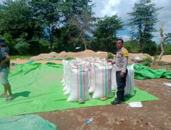 BHABINKAMTIBMAS DESA WOKO PANTAU AKTIVITAS WARGA BINAAN SAAT MENJUAL HASIL PANEN JAGUNG