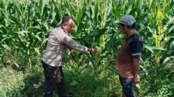 Bhabinkamtibmas Labuapi Dorong Warga Lombok Barat Tanam Mandiri