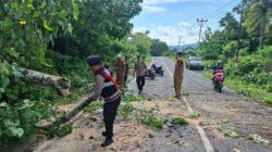 Aksi Sigap Polsek Sekotong: Bersihkan Pohon Tumbang di Lombok Barat