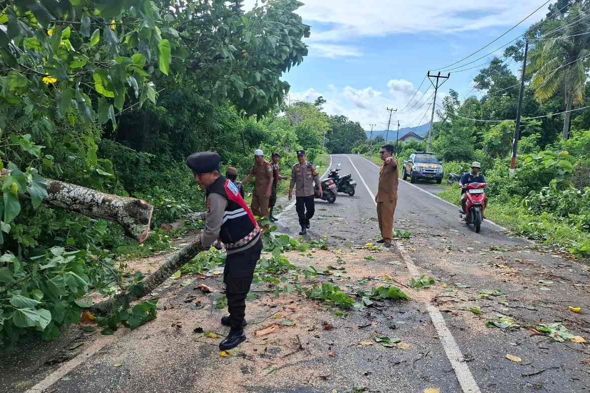 Keselamatan Prioritas: Polsek Sekotong Amankan dan Bersihkan Pohon Tumbang