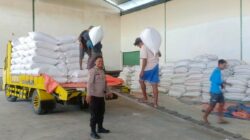 Jagung Petani Lombok Barat Lolos Uji Kualitas BULOG: Kadar Air Ideal