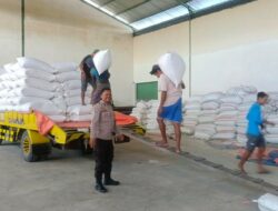 Jagung Petani Lombok Barat Lolos Uji Kualitas BULOG: Kadar Air Ideal