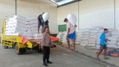 Jagung Petani Lombok Barat Lolos Uji Kualitas BULOG: Kadar Air Ideal