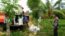 Polsek Lunyuk Gencarkan Patroli Dialogis, Jaga Rasa Aman Warga Padasuka di Tengah Aktivitas