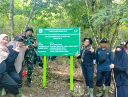 Monitoring dan Supervisi Penanaman Rehabilitasi DAS IPPKH Bendungan Bintang Bano Berjalan Aman dan Lancar