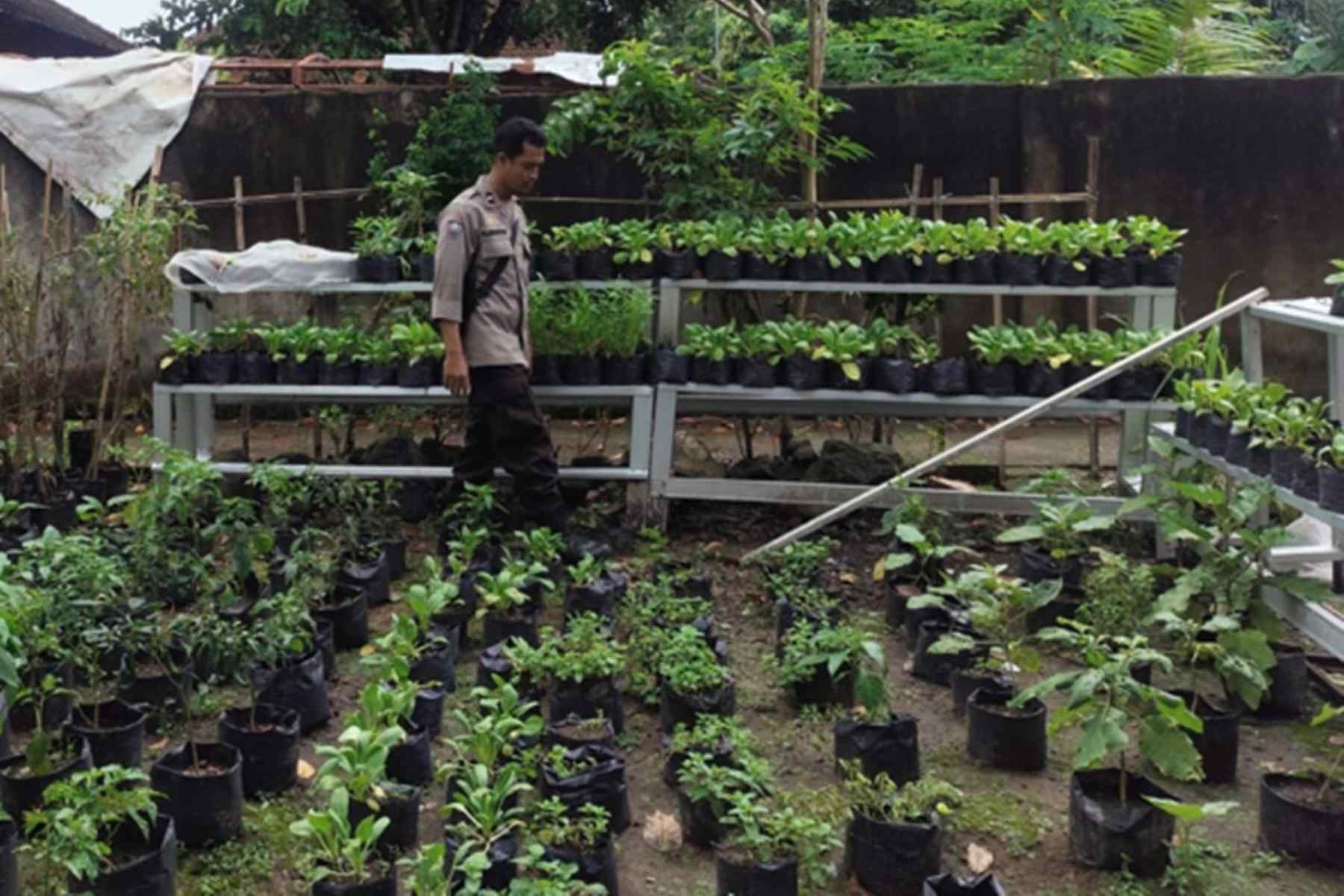 Polsek Labuapi Dorong Ketahanan Pangan di Desa Bengkel