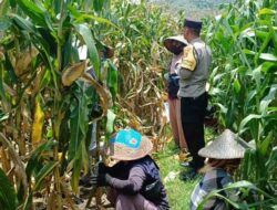 Bhabinkamtibmas Lombok Barat Motivasi Petani di Sawah