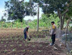 Polsek Sekotong Dampingi Petani Optimalkan Lahan Pangan