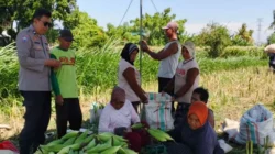 Bhabinkamtibmas Lombok Barat Sulap Pekarangan Jadi Lahan Pangan