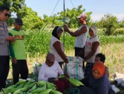 Bhabinkamtibmas Lombok Barat Sulap Pekarangan Jadi Lahan Pangan
