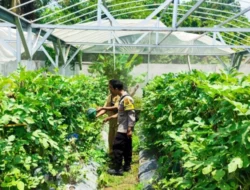 Warga Desa Bengkel Sulap Lahan Kosong Jadi Pekarangan Bergizi