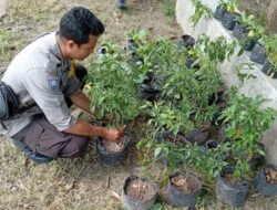 Polisi Dampingi Warga Desa Bengkel Tanam Sayur di Rumah