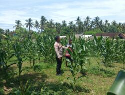 Polsek Sekotong Kawal Ketahanan Pangan di Desa Sekotong Barat