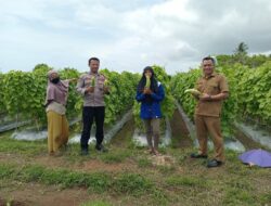 Dukung Ketahanan Pangan, Bhabinkamtibmas Desa Tatar Tinjau Pemanpaatan Lahan Produktif Warga bersama Pemerintah Desa