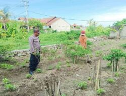 Polri Dampingi Warga Dusun Bantir Budidaya Palawija di Pekarangan