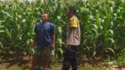 Polsek Sekotong Kawal Ketahanan Pangan di Desa Batu Putih