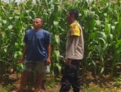 Polsek Sekotong Kawal Ketahanan Pangan di Desa Batu Putih