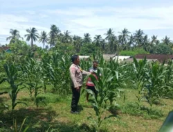 Polsek Sekotong Dorong Warga Manfaatkan Pekarangan