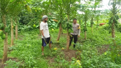 inergi Polri dan Petani dalam Pemanfaatan Lahan Kosong NTB