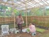 Warga Banyu Urip Lombok Barat Sulap Pekarangan Jadi Lahan Pangan