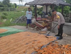 Polri Dampingi Petani Labuapi Percepat Swasembada Pangan