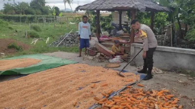 Langkah Polsek Labuapi Optimalkan Lahan Produktif di Kuranji Dalang