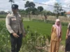 Bhabinkamtibmas Labuapi Sulap Lahan Tidur Jadi Area Produktif