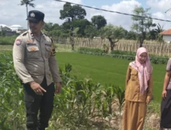 Bhabinkamtibmas Labuapi Sulap Lahan Tidur Jadi Area Produktif