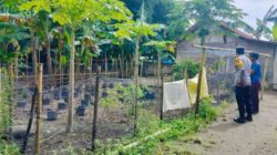 Dukung Program Presiden, Polsek Labuapi Masifkan Ketahanan Pangan