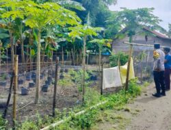 Polsek Labuapi Dorong Kemandirian Pangan Lewat Pemanfaatan Lahan