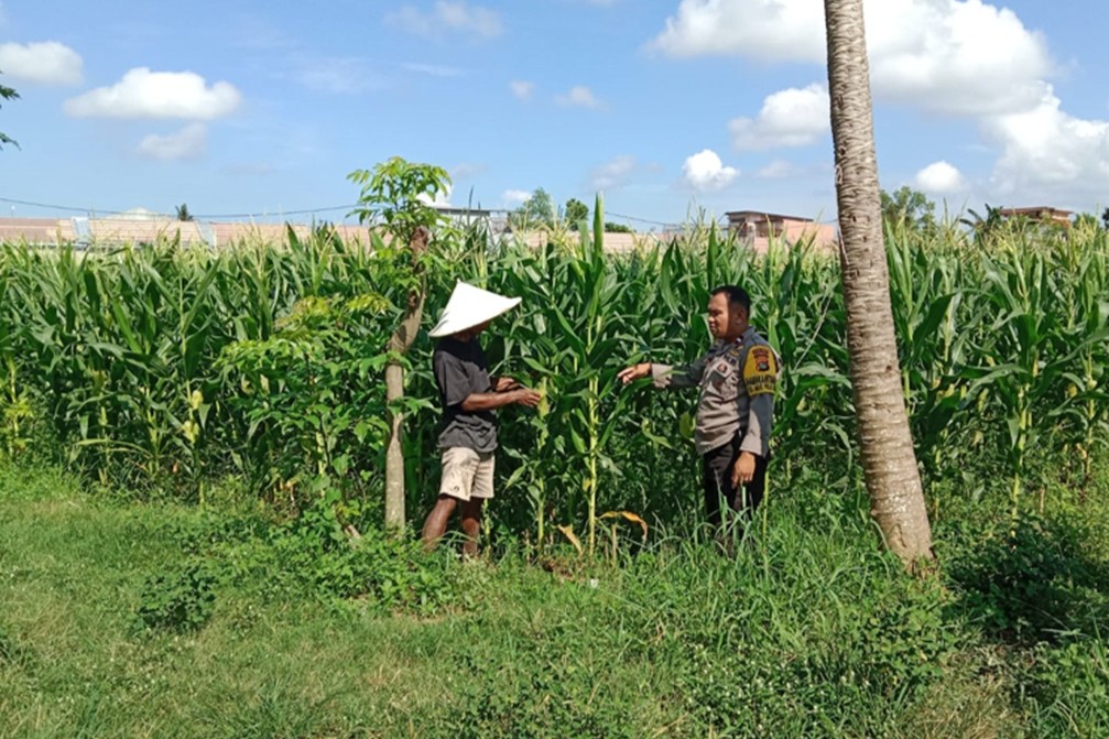 Bhabinkamtibmas Bagik Polak Barat Kawal Produktivitas Petani Lokal