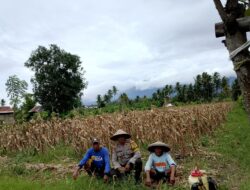 Dukung Program Ketahanan Pangan, Bhabinkamtibmas  Desa Apitaik Silaturrahmi Dengan Petani