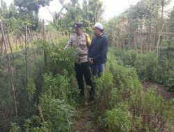 Polri Perkuat Ketahanan Pangan di Lombok Barat melalui Pendampingan Petani