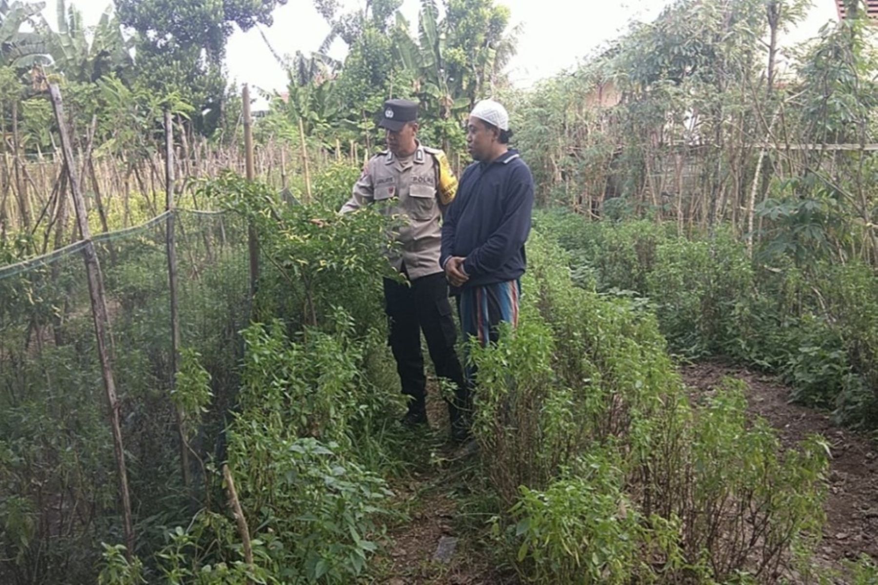 Bhabinkamtibmas Desa Babussalam Dorong Kemandirian Pangan Warga Gerung
