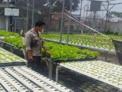 Polsek Labuapi Dorong Warga Optimalkan Lahan Sisa Jadi Zona Hijau