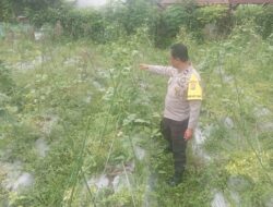 Bhabinkamtibmas Desa Kesik Cek Lahan Ketahanan Pangan Bergizi di Dusun Munsok