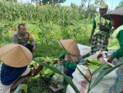 Polsek Labuapi Perkuat Ketahanan Pangan di Desa Bagik Polak