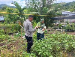 Bhabinkamtibmas Desa Tongo Dorong Warga Manfaatkan Pekarangan untuk Ketahanan Pangan