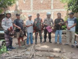 Berantas Penyakit Masyarakat, Polsek Woha membubarkan judi sabung ayam, Amankan 7 Ekor Ayam Aduan Para Pelaku Lari Tunggang Langgang.