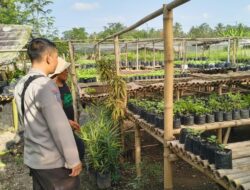 Bhabinkamtibmas Desa Tamekan Monitoring Pekarangan Bergizi, Dukung Program Asta Cita Swasembada Pangan