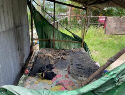 Tolak Disuruh Cari Rumput, Seorang Pemuda di Plampang Diduga Dibakar Ibu Kandungnya Sendiri